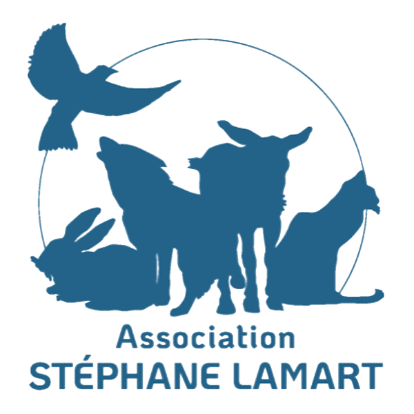 Association Stéphane Lamart
